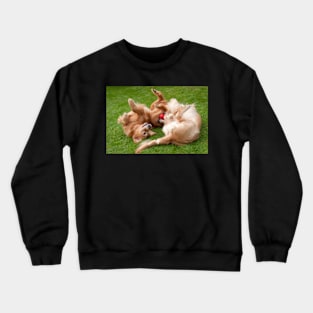 Best Friends Crewneck Sweatshirt